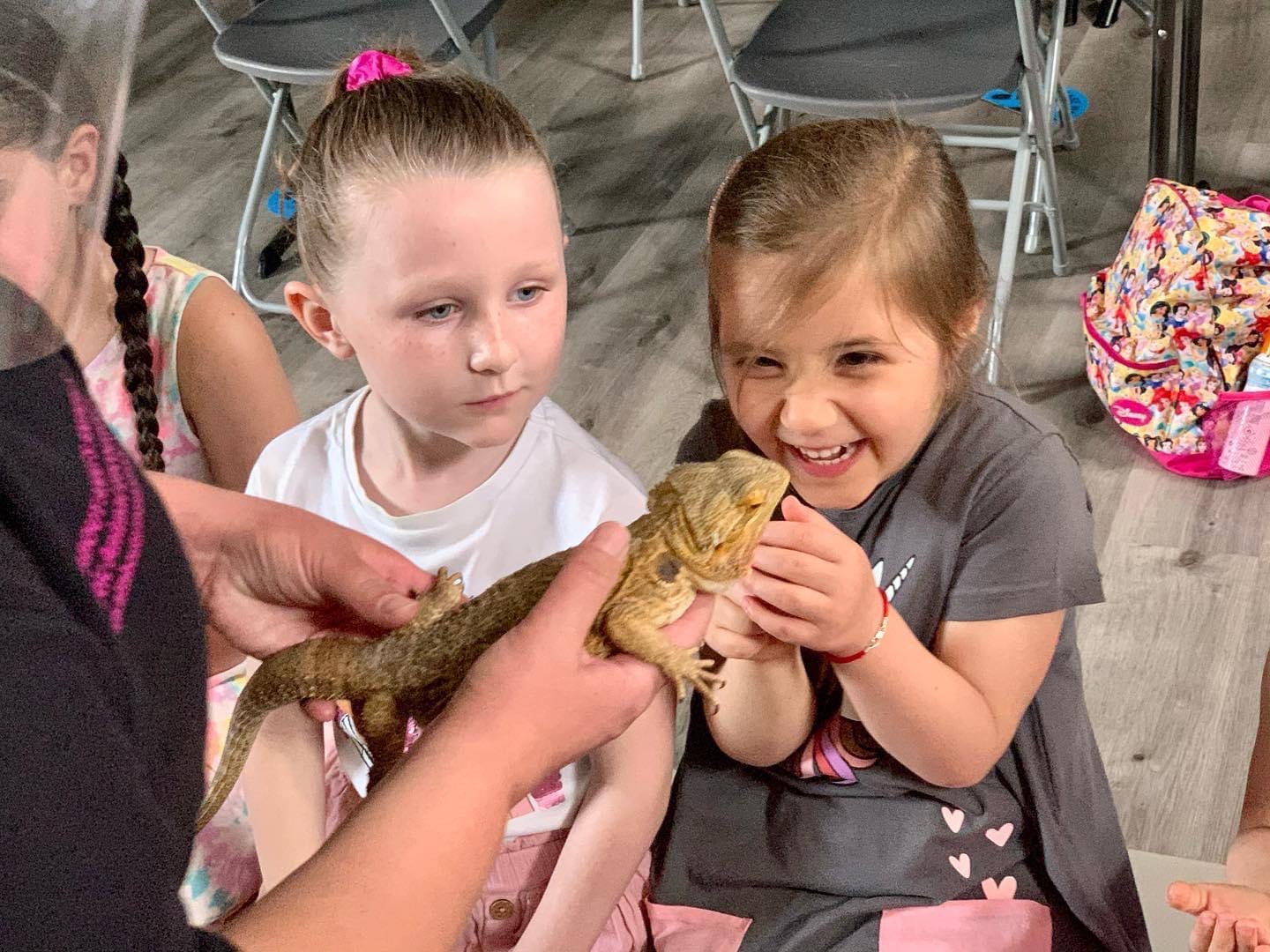 Animal encounter workshop